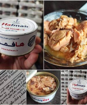 تن ماهی 180 گرمی هافمن هوور