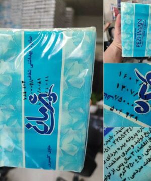 صابون حمام پژمان ۷۵۰گرم