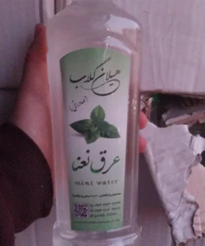 عرق نعنا ۱لیتری ۱۲تایی هیلان گلاب