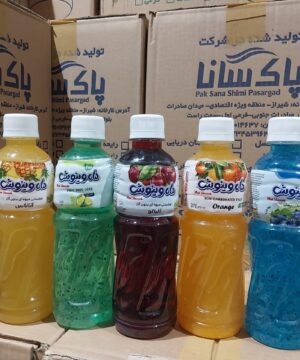 آبمیوه پت ونوش 370میل