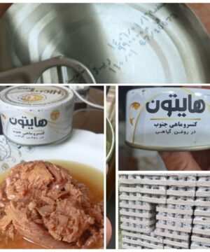 تن ماهی هایتون