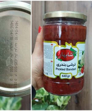 ترشی بندری شابهار ۶۴۰گرم