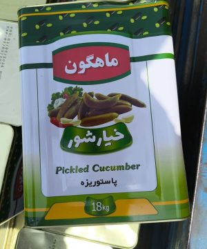 خیارشور حلب ماهگون